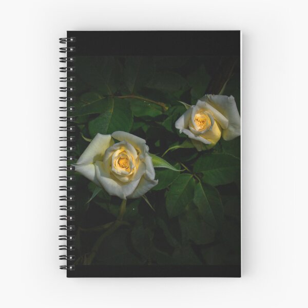 Item preview, Glowing White Roses designed and sold by alabca.