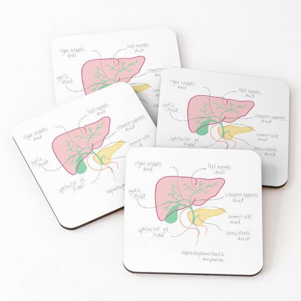 Artikelvorschau, Anatomie der Gallenwege entworfen und verkauft von thesmileymedic.