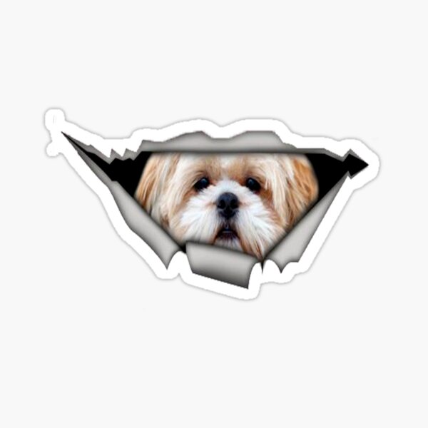 Shih Tzu Dog Cutie Face Window Valance/Curtain *Your Choice of Colors*