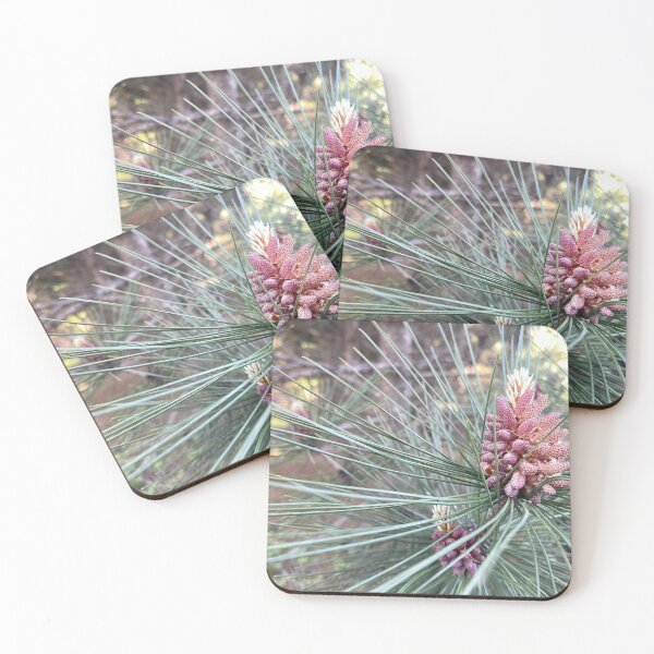 Item preview, Northwoods Pine Cone designed and sold by HeuringGallery.