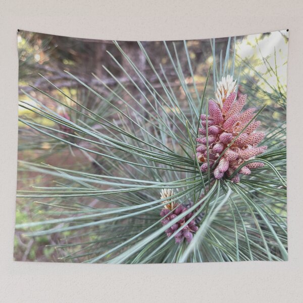 Item preview, Northwoods Pine Cone designed and sold by HeuringGallery.