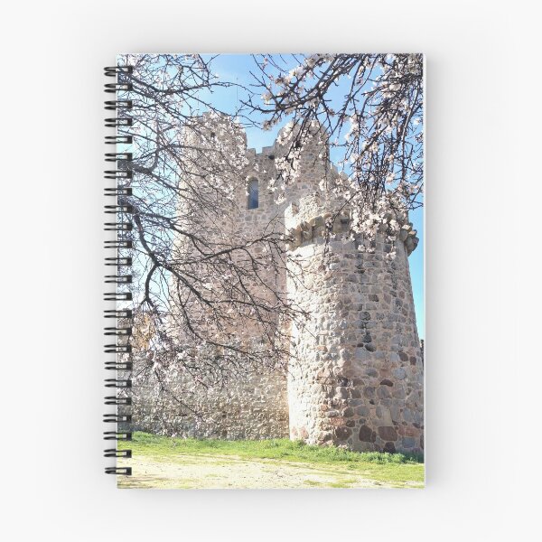 Item preview, Coracera Castle designed and sold by tattib.
