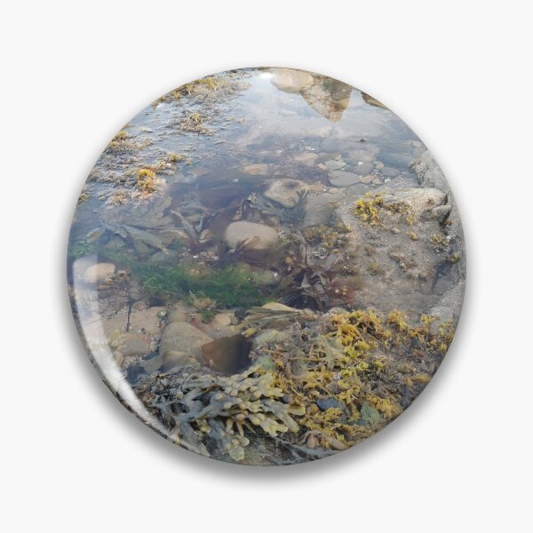 Item preview, Rockpool designed and sold by Slice87.