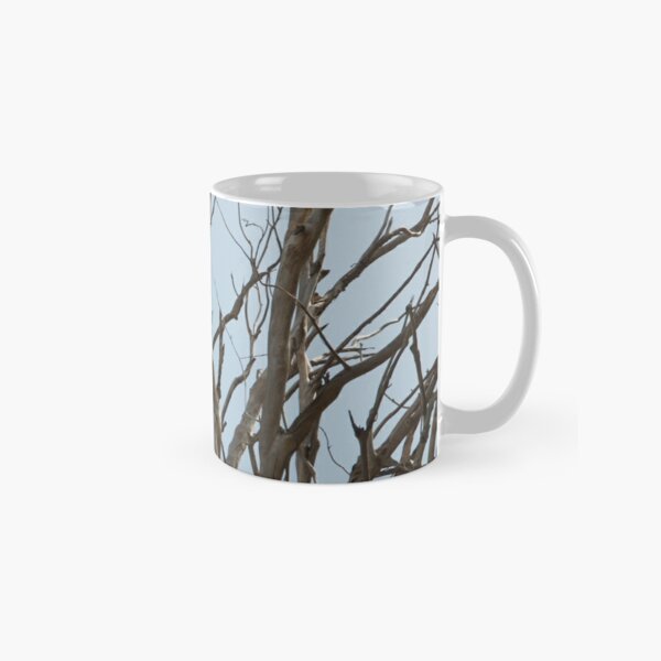 Bare tree branches against a pale spring sky Classic Mug