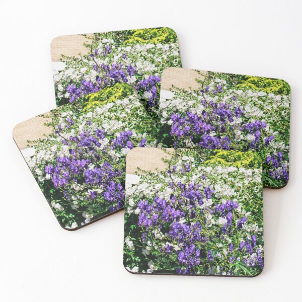 Item preview, White and purple aconite in garden designed and sold by Photopat.