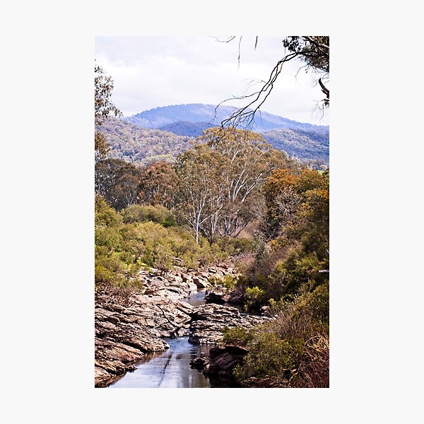 Item preview, Buffalo River designed and sold by Linda Lees.
