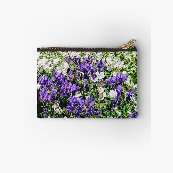 Item preview, White and purple aconite in garden designed and sold by Photopat.