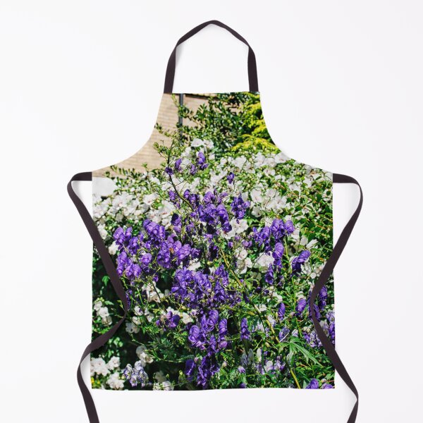 Item preview, White and purple aconite in garden designed and sold by Photopat.