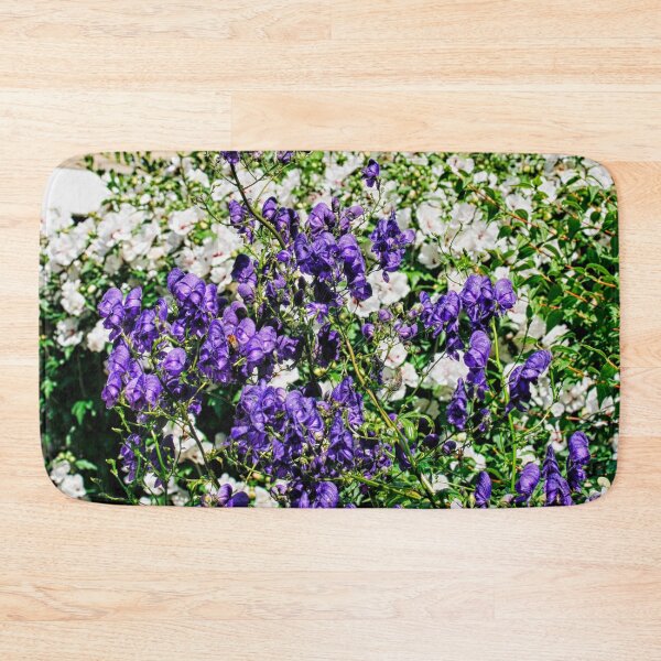 Item preview, White and purple aconite in garden designed and sold by Photopat.