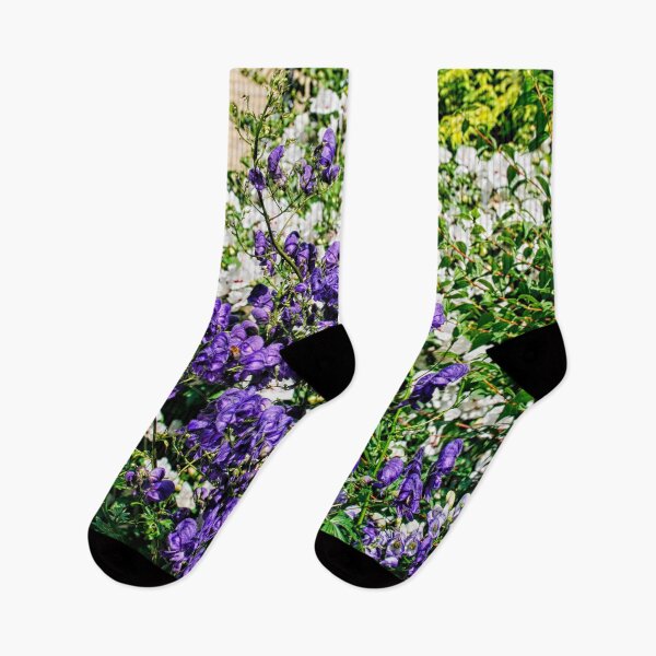 Item preview, White and purple aconite in garden designed and sold by Photopat.
