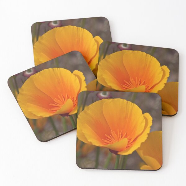 Item preview, Maricopa Lily in California designed and sold by Donna Fullerton.