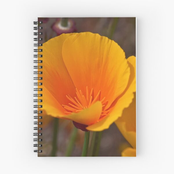 Item preview, Maricopa Lily in California designed and sold by Donna Fullerton.
