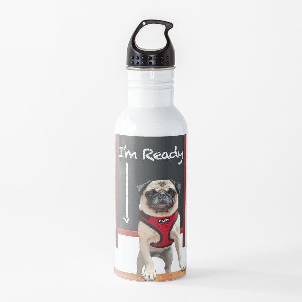 I'm Ready For School (Featuring Daisy Pug) – Water Bottle