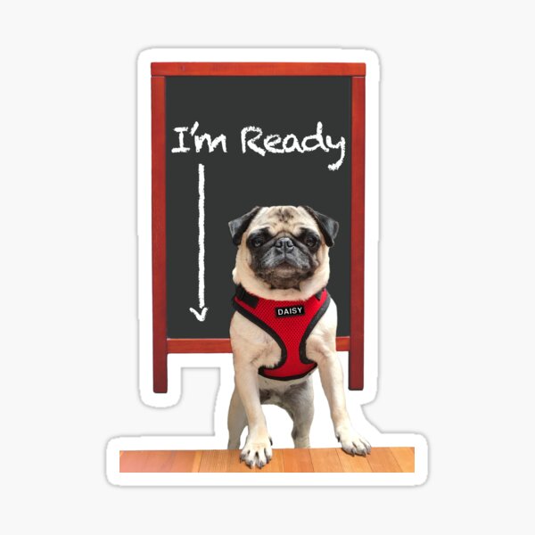 I'm Ready For School (Featuring Daisy Pug) – Sticker