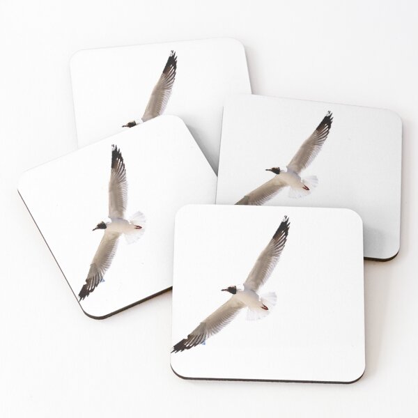 Item preview, Seagull (scientific name: Larus canus): It is a medium-sized seabird of the Ornithidae and Gull family designed and sold by zenger2021.
