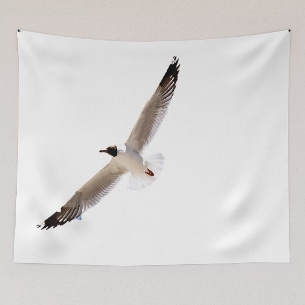 Item preview, Seagull (scientific name: Larus canus): It is a medium-sized seabird of the Ornithidae and Gull family designed and sold by zenger2021.