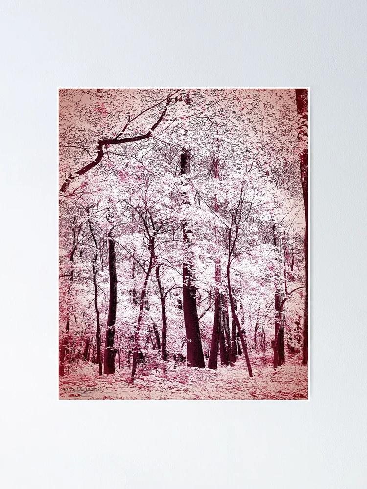 Thumbnail 1 of 3, Poster, First Spring Snow designed and sold by RiverDeeDesigns.