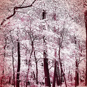 Artwork thumbnail, First Spring Snow by RiverDeeDesigns