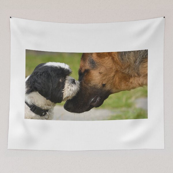 Item preview, Amor designed and sold by Anthony Hedger Photography.