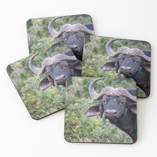 Item preview, Cape Buffalo with hitchhiker designed and sold by Donna Fullerton.