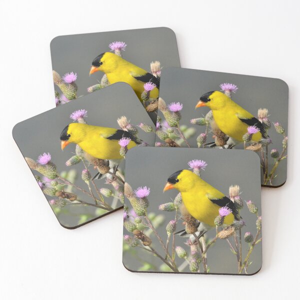 Item preview, Gold finch photo designed and sold by mikemcglashon.