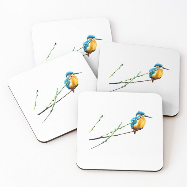Item preview, A bird of the genus Kingfisher (scientific name: Alcedo), a medium-sized water bird. The food is mainly fish designed and sold by zenger2021.