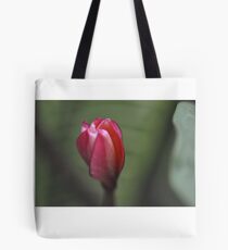 Be with you, solo flower: Got Featured Work:) Tote Bag