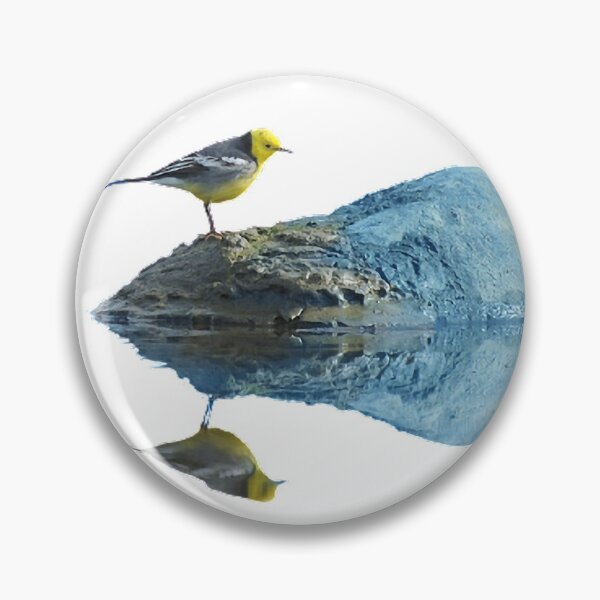 Item preview, Yellow-headed wagtail (scientific name: Motacilla citreola): is a bird of the passerine wagtail family designed and sold by zenger2021.