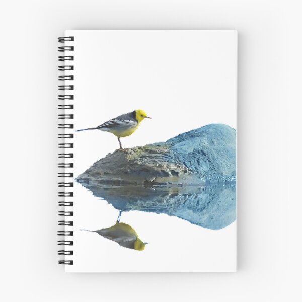 Item preview, Yellow-headed wagtail (scientific name: Motacilla citreola): is a bird of the passerine wagtail family designed and sold by zenger2021.