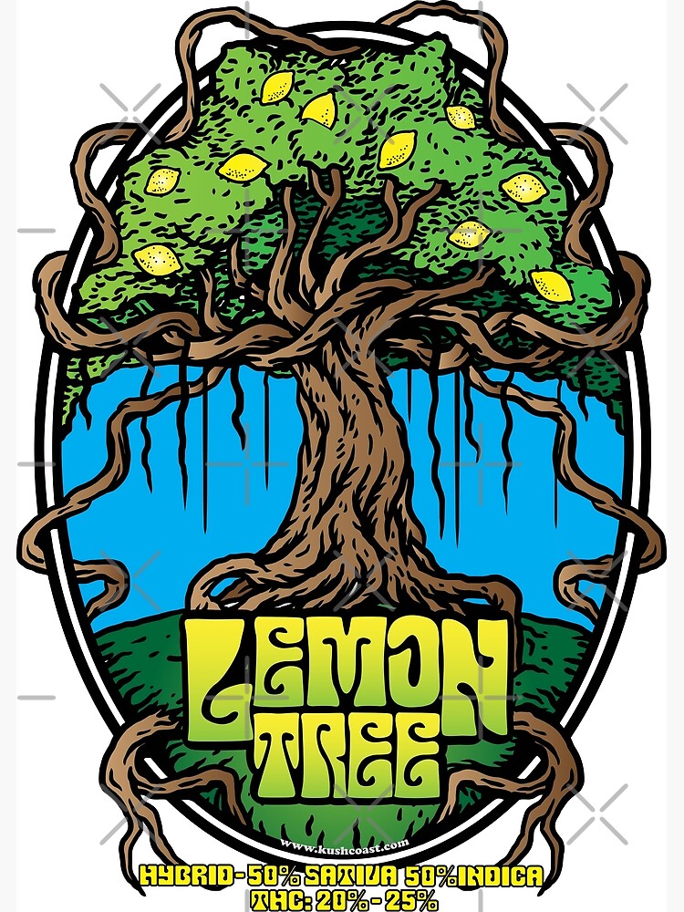 Lemon Tree Creative - Credit Union Marketing