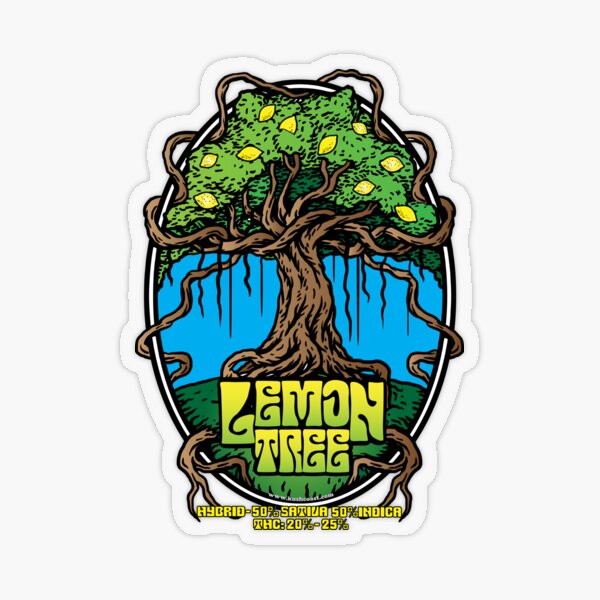Aperçu de l'œuvre Art de la variété de cannabis Lemon Tree créée et vendue par kushcoast.