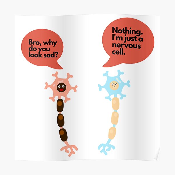 Posters Sur Le Theme Jeux De Mots Scientifiques Redbubble