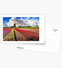 BULBS FIELDS Postcards
