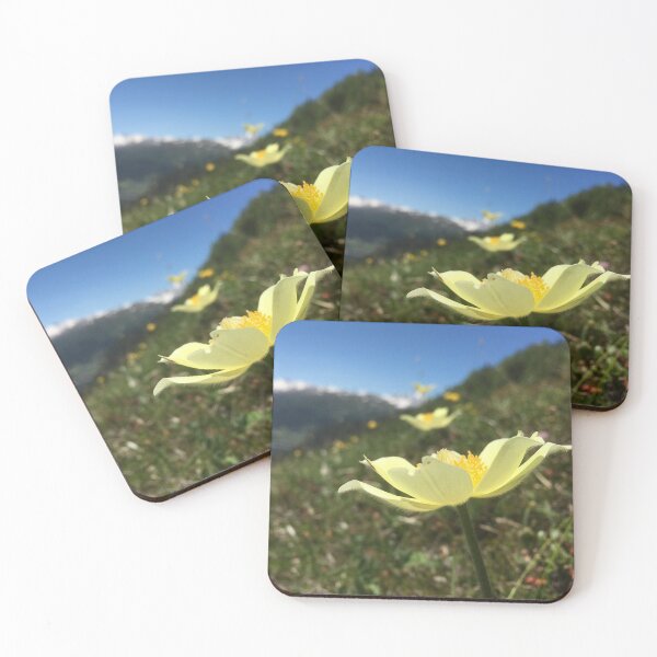 Aperçu de l'œuvre Fleurs de montagne créée et vendue par Alpenhipster_.