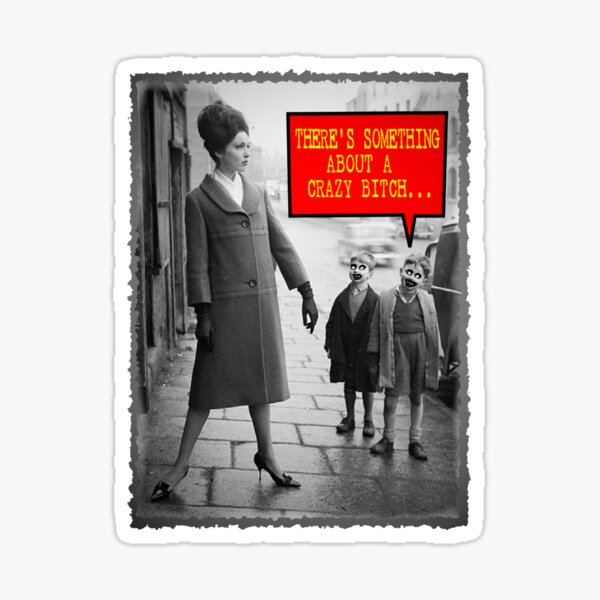 Vintage Funny - There is Something About a Crazy Bitch Sticker