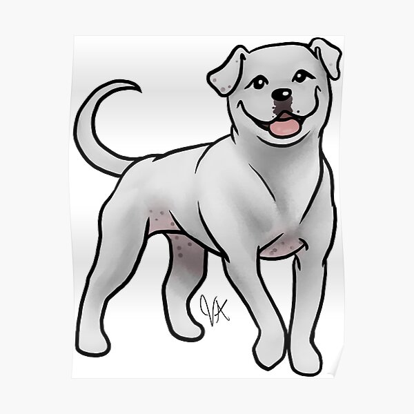 American Bulldog - White Poster
