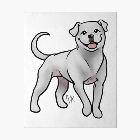 American Bulldog - White Art Board Print