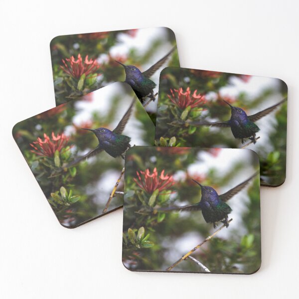 Item preview, Dreamy hummingbird designed and sold by Philip-Marsden.