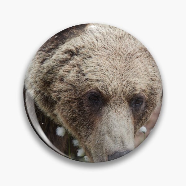 Item preview, All these beautiful grasses. Hare's-tail cottongrass and Brown bear 46 designed and sold by Jouko Lehto Photography.