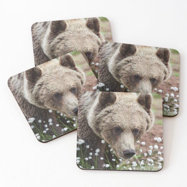 Item preview, All these beautiful grasses. Hare's-tail cottongrass and Brown bear 46 designed and sold by Jouko Lehto Photography.