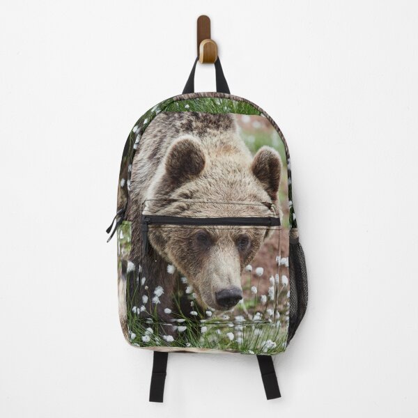 Item preview, All these beautiful grasses. Hare's-tail cottongrass and Brown bear 46 designed and sold by Jouko Lehto Photography.