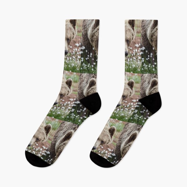 Item preview, All these beautiful grasses. Hare's-tail cottongrass and Brown bear 46 designed and sold by Jouko Lehto Photography.