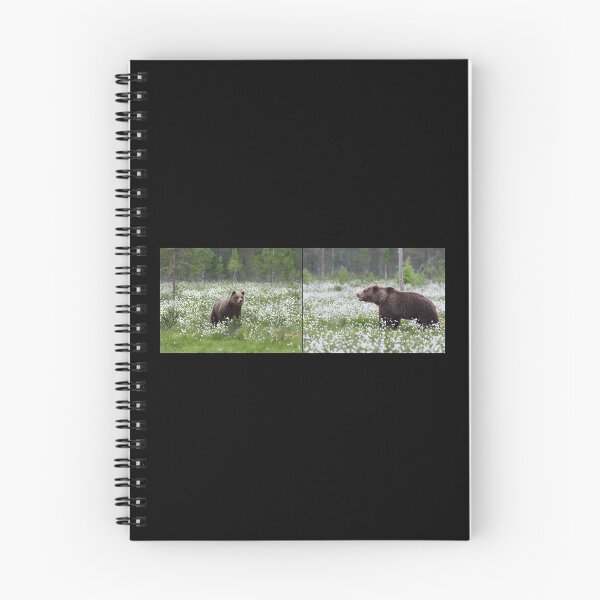 Item preview, Is there a romance going on. Hare's-tail cottongrass and Brown bear designed and sold by Jouko Lehto Photography.