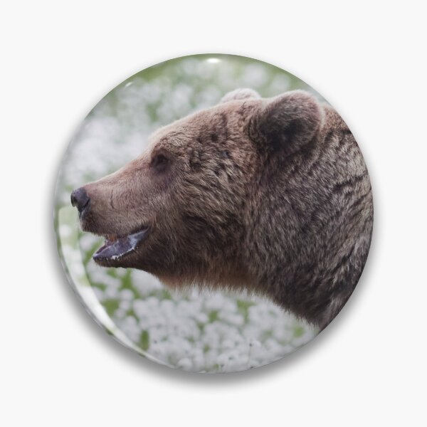 Item preview, Is there a romance going on. Hare's-tail cottongrass and Brown bear designed and sold by Jouko Lehto Photography.