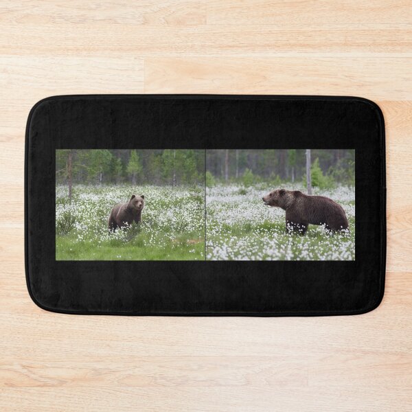 Item preview, Is there a romance going on. Hare's-tail cottongrass and Brown bear designed and sold by Jouko Lehto Photography.