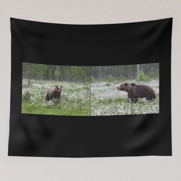 Item preview, Is there a romance going on. Hare's-tail cottongrass and Brown bear designed and sold by Jouko Lehto Photography.