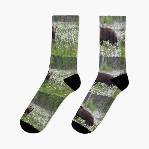 Item preview, Is there a romance going on. Hare's-tail cottongrass and Brown bear designed and sold by Jouko Lehto Photography.