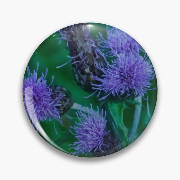 Artikelvorschau, Distel Blumen. entworfen und verkauft von GingerMan2550.