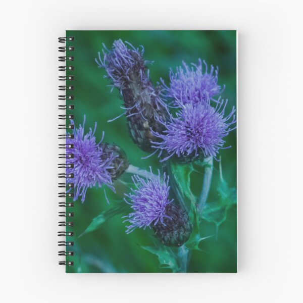 Item preview, Thistle Flowers. designed and sold by GingerMan2550.