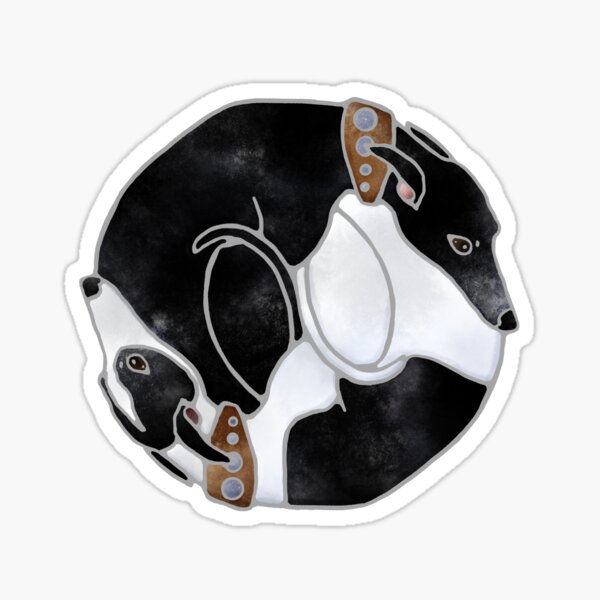 Black Whippet Greyhound Yin yang pose Sticker
